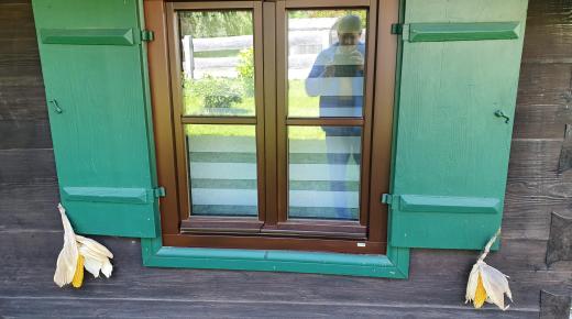 Holzfenster mit grünen Klappläden 