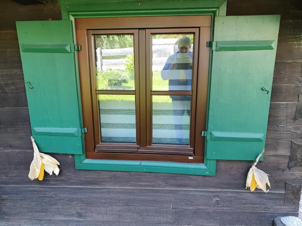 Holzfenster mit grünen Klappläden 